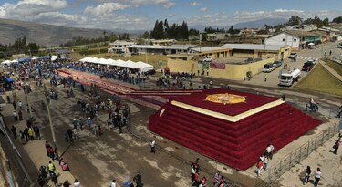 Ecuador busca nuevo título Guinness con arreglo de 500 mil rosas
