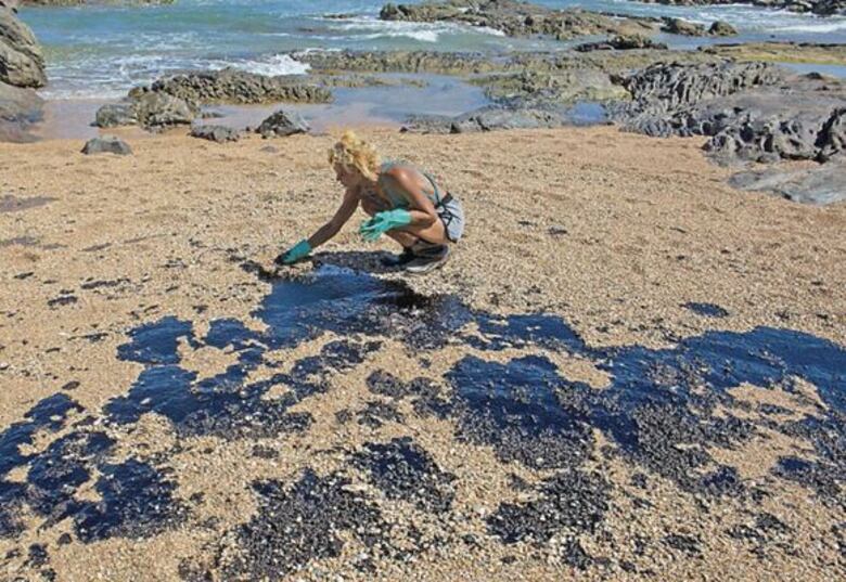 El impacto de la inédita marea negra en Brasil