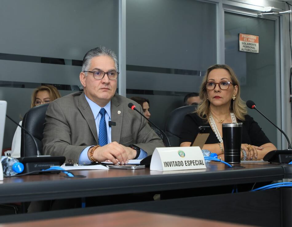 $24.6 millones para el Palacio de Las Garzas, la villa diplomática y publicidad: la polémica en el presupuesto de la Presidencia