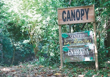 ATP decidirá futuro del ‘canopy’ de Taboga 