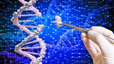 Edición genética y sus desafíos