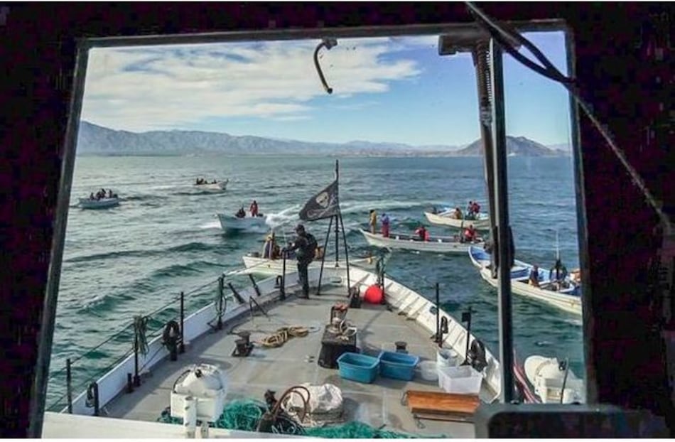 Pescadores atacan un barco de ambientalistas en México