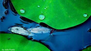 El arte como conexión con el medio ambiente
