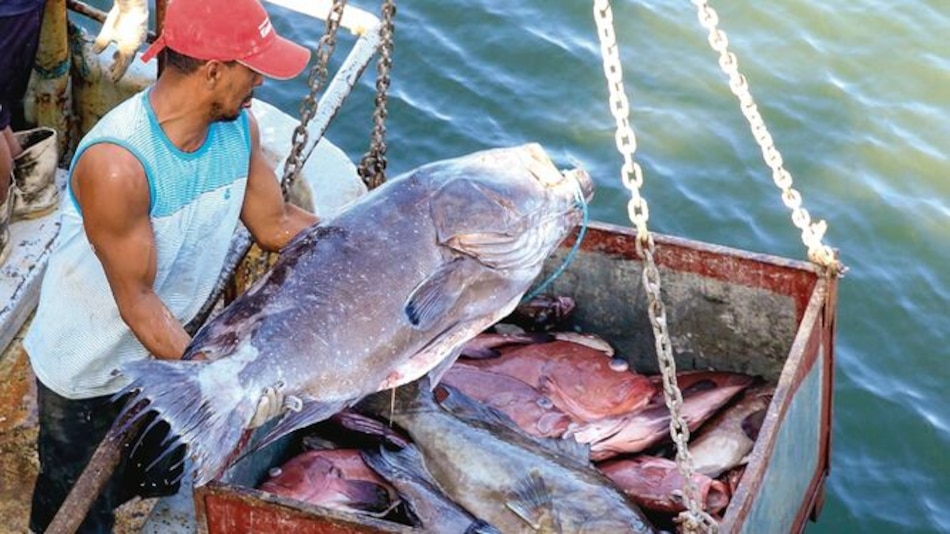 Panamá hace ‘lobby ‘ en Bélgica para evitar sanción
