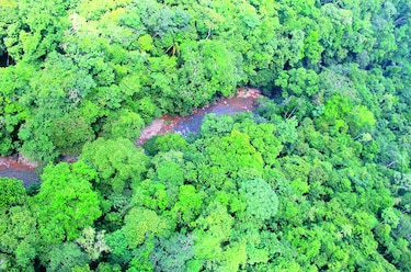 Presión urbana sobre el área norte del río Juan Díaz