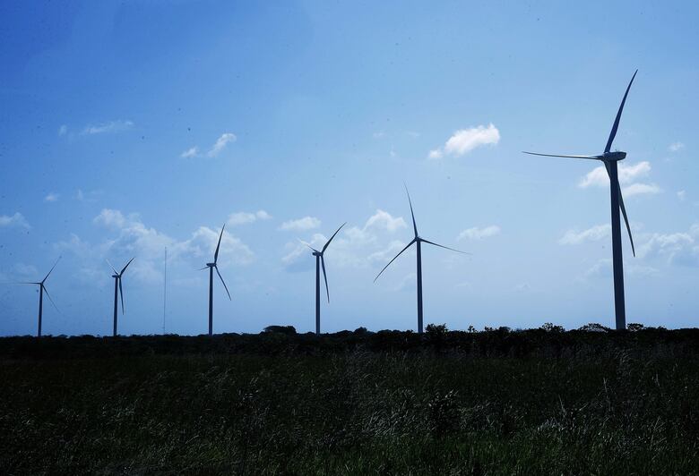 Mulino lanzará cronograma de licitaciones eléctricas por $1,000 millones