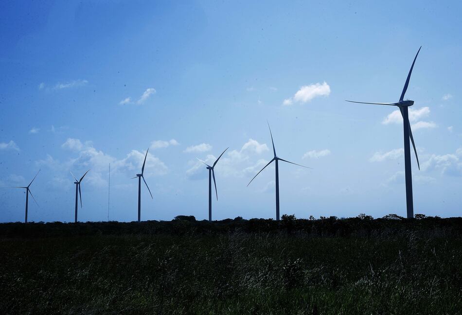 Etesa convocará licitación de energía renovable a largo plazo, buscan menores precios de la electricidad