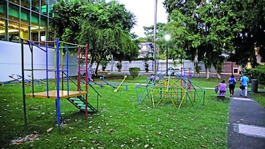 Cobertura y monto crecen: contrato único de mantenimiento de áreas verdes en la capital