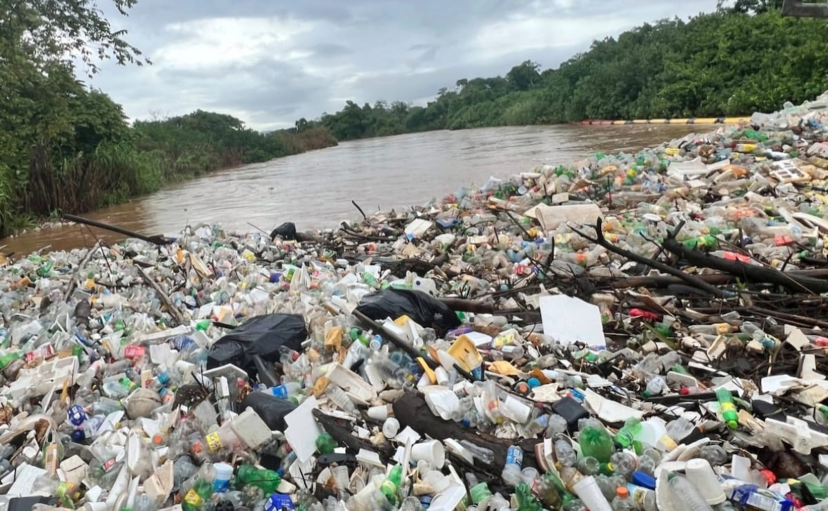 Cuando llueve, los ríos hablan: toneladas de basura salen a flote