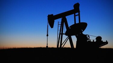 El impacto de la crisis climática 