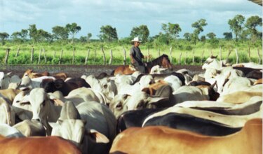 Cantos de trabajo del Llano colombo-venezolano, Patrimonio Inmaterial de la Humanidad