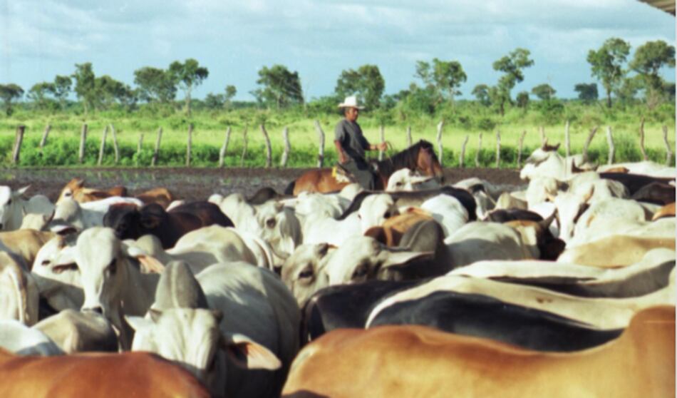Cantos de trabajo del Llano colombo-venezolano, Patrimonio Inmaterial de la Humanidad