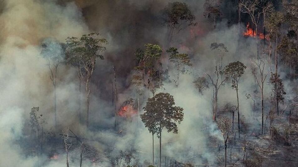 Brasil combate los incendios en la Amazonía tras nuevas llamaradas