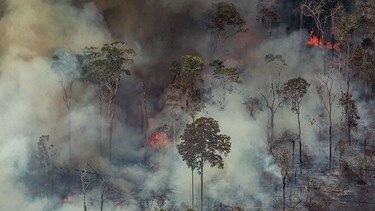 Brasil combate los incendios en la Amazonía tras nuevas llamaradas