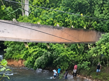Tragedia: puente colgante se desploma cuando transportaban un difunto en Penonomé, hay varios heridos