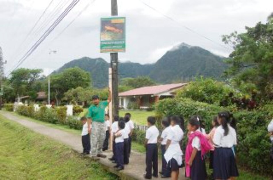Arranca semana de la rana dorada en El Valle