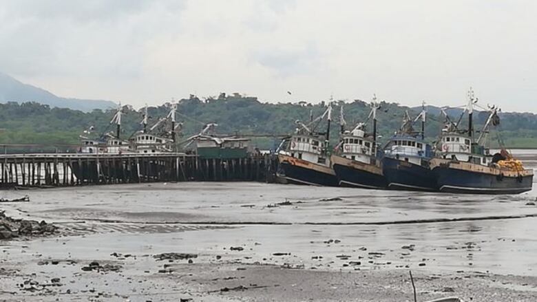 Un grito de auxilio desde el mar