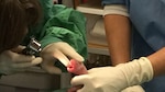 Zoológico de Washington cree que sobrevivirán cachorros de panda