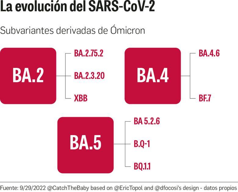 Dos nuevos linajes de Ómicron llegan a Panamá: Instituto Gorgas
