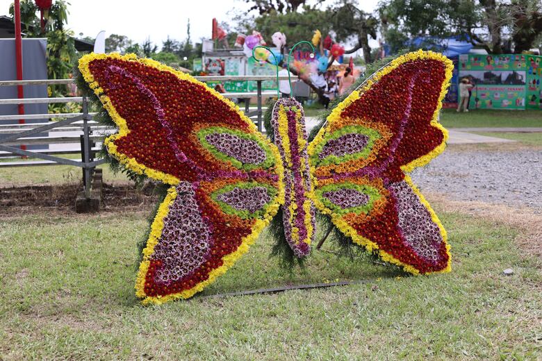 Más de un millón de flores adornan a la comunidad de Volcán en Tierras Altas