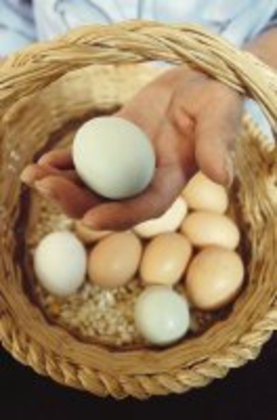 La proteína perfecta