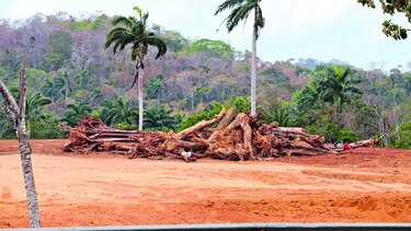Búnker, patrimonio en pedazos