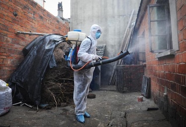 Existen dos vacunas que podrían ayudar a crear inmunización para el H7N9