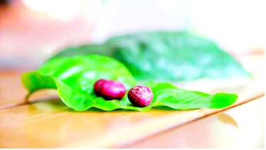 Cinta con un aroma a café