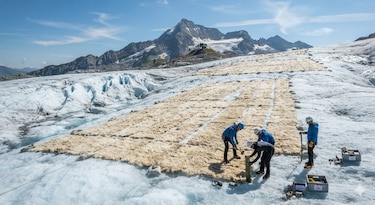 Descubrimiento: Suiza prueba mantas de lana biodegradables para proteger sus glaciares