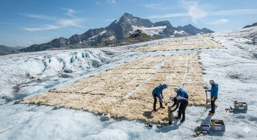 Descubrimiento: Suiza prueba mantas de lana biodegradables para proteger sus glaciares