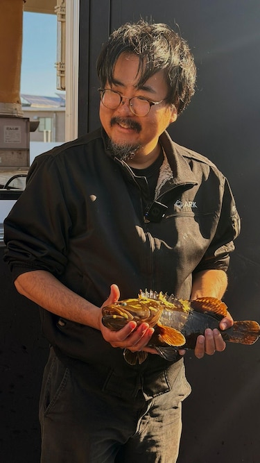 ‘Si nadie hace nada, este lugar se convertirá en tierra muerta’: las personas que regresan a Fukushima 15 años después del accidente nuclear