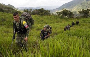 FARC se están moviendo a zonas de concentración