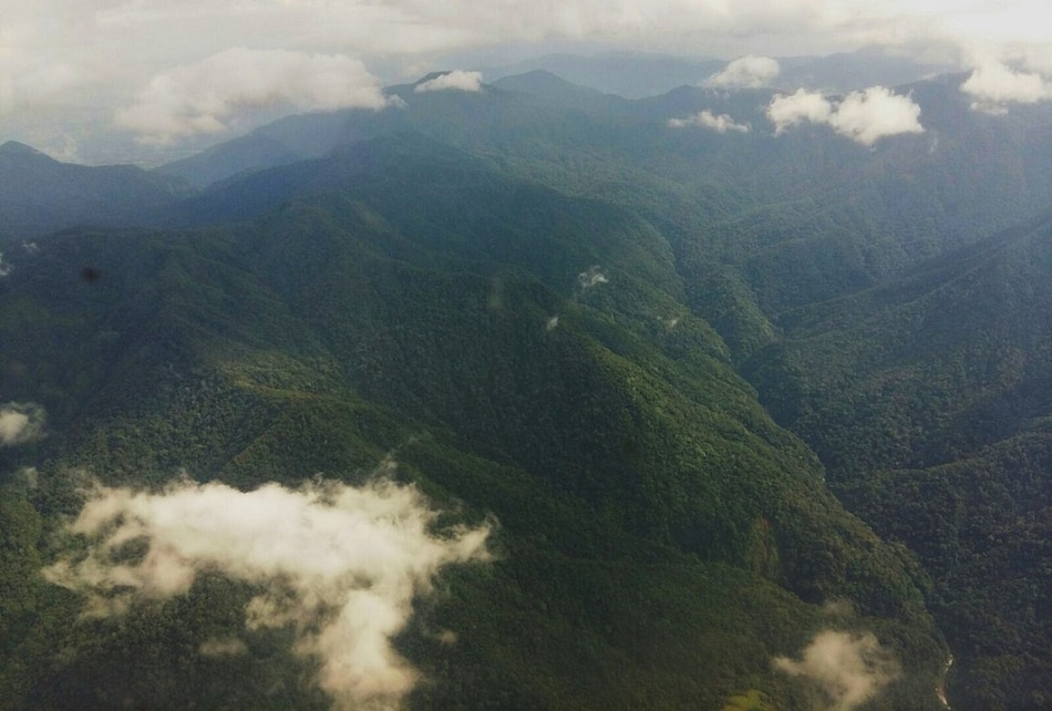 Identifican amenazas al Parque Nacional Cerro Hoya