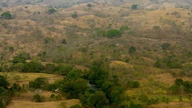 Un 65% de la cuenca del río La Villa está deforestada