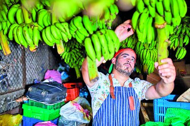 Navegando entre sabores panameños