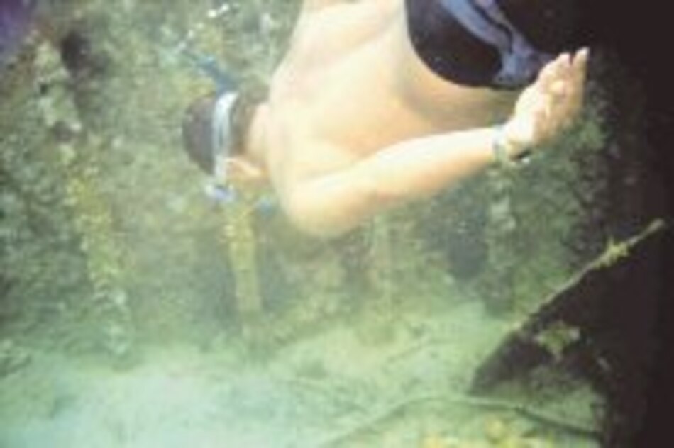 Deterioro de corales debilita ecoturismo