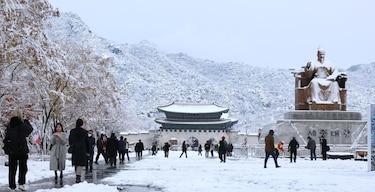 Las primeras nevadas de la temporada en Seúl, Corea del Sur, el sueño de los enamorados