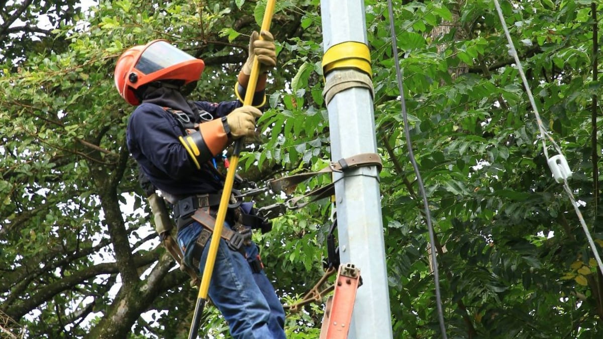 Trabajos de mantenimiento en la red eléctrica del 29 de junio al 5 de julio de 2026