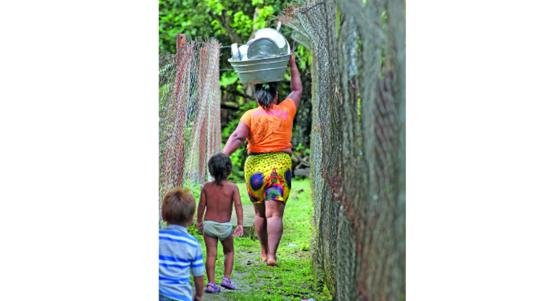 Vida que emerge del río