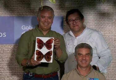 Mariposa descubierta en Colombia llevará el apellido del presidente Duque