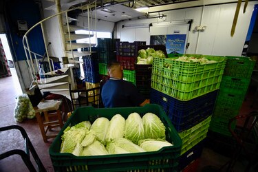 Se dispara el precio del tomate, la papa, el brócoli y la lechuga; síntoma del conflicto minero