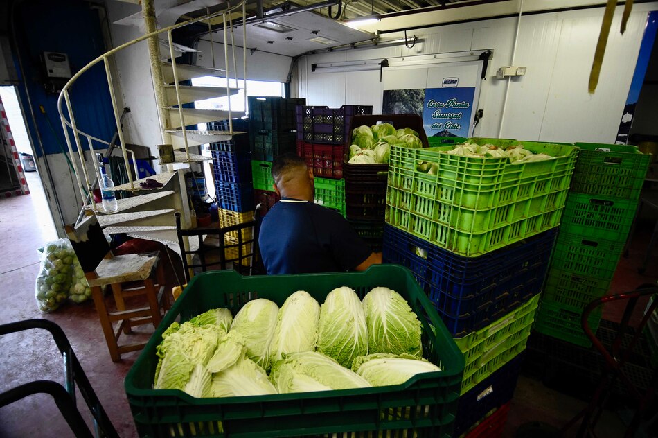 Entre el domingo y el lunes llegaron unos 275 vehículos con mercancía a Merca Panamá