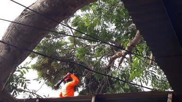 Aguaceros dejan afectaciones en viviendas de Parita y Chitré
