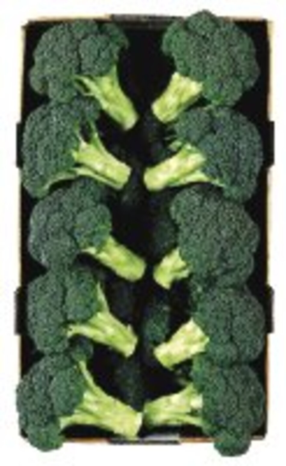 Brócoli y coliflor contra el cáncer