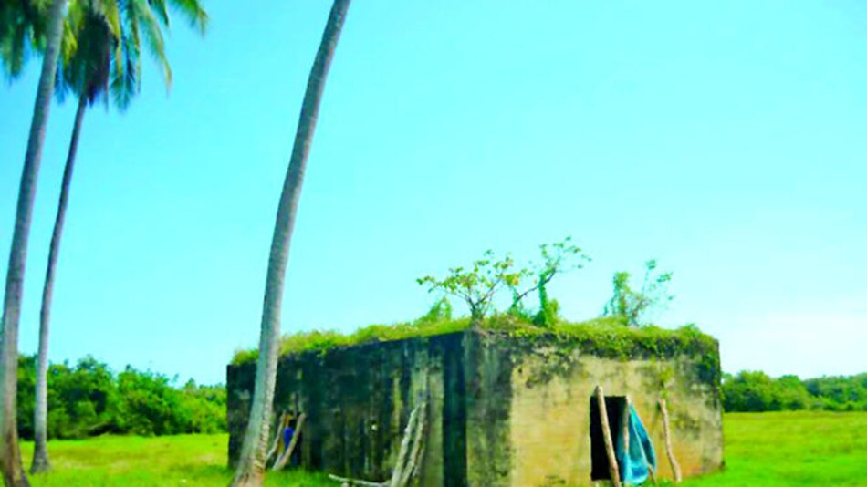 Identifican morada de vampiros en el área de La Candelaria