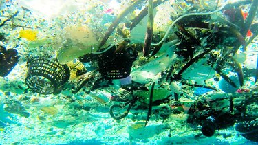 FAO: Los océanos no son un basurero