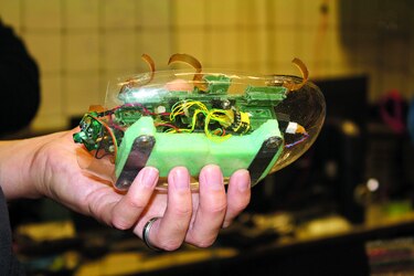 Robots inspirados en animales