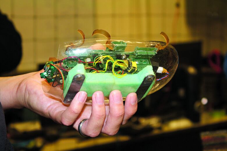 Robots inspirados en animales