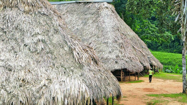 Una visita a Parará Purú