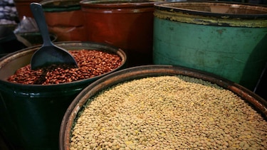 Abren las puertas para la importación de granos